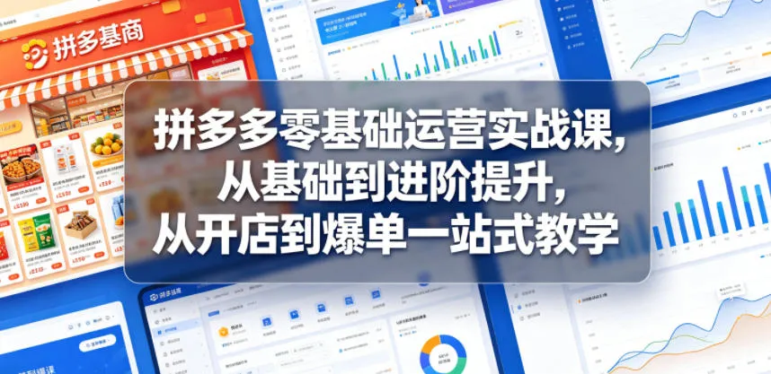 拼多多零基础运营实战课，从基础到进阶提升，从开店到爆单一站式教学-豌豆轻创