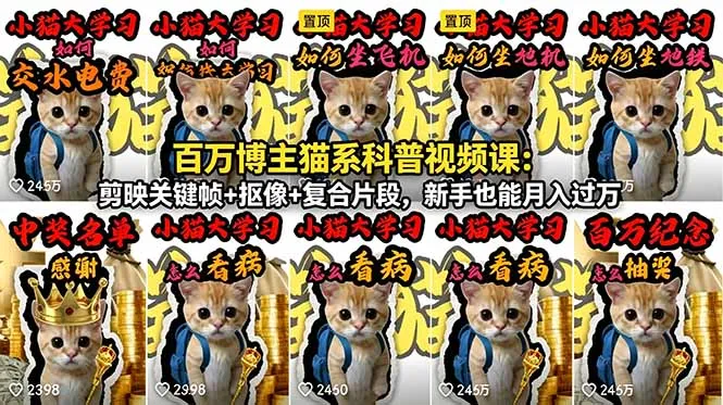 百万博主猫系科普视频课：剪映关键帧+抠像+复合片段，新手也能月入过万-豌豆轻创