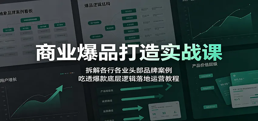 商业爆品打造实战课：拆解各行各业头部品牌案例，吃透爆款底层逻辑落地运营教程-豌豆轻创
