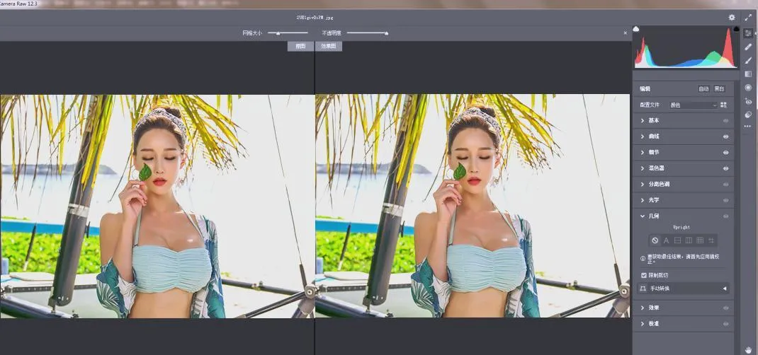 RAW处理Adobe Camera Raw v18.2.2中文版-豌豆轻创