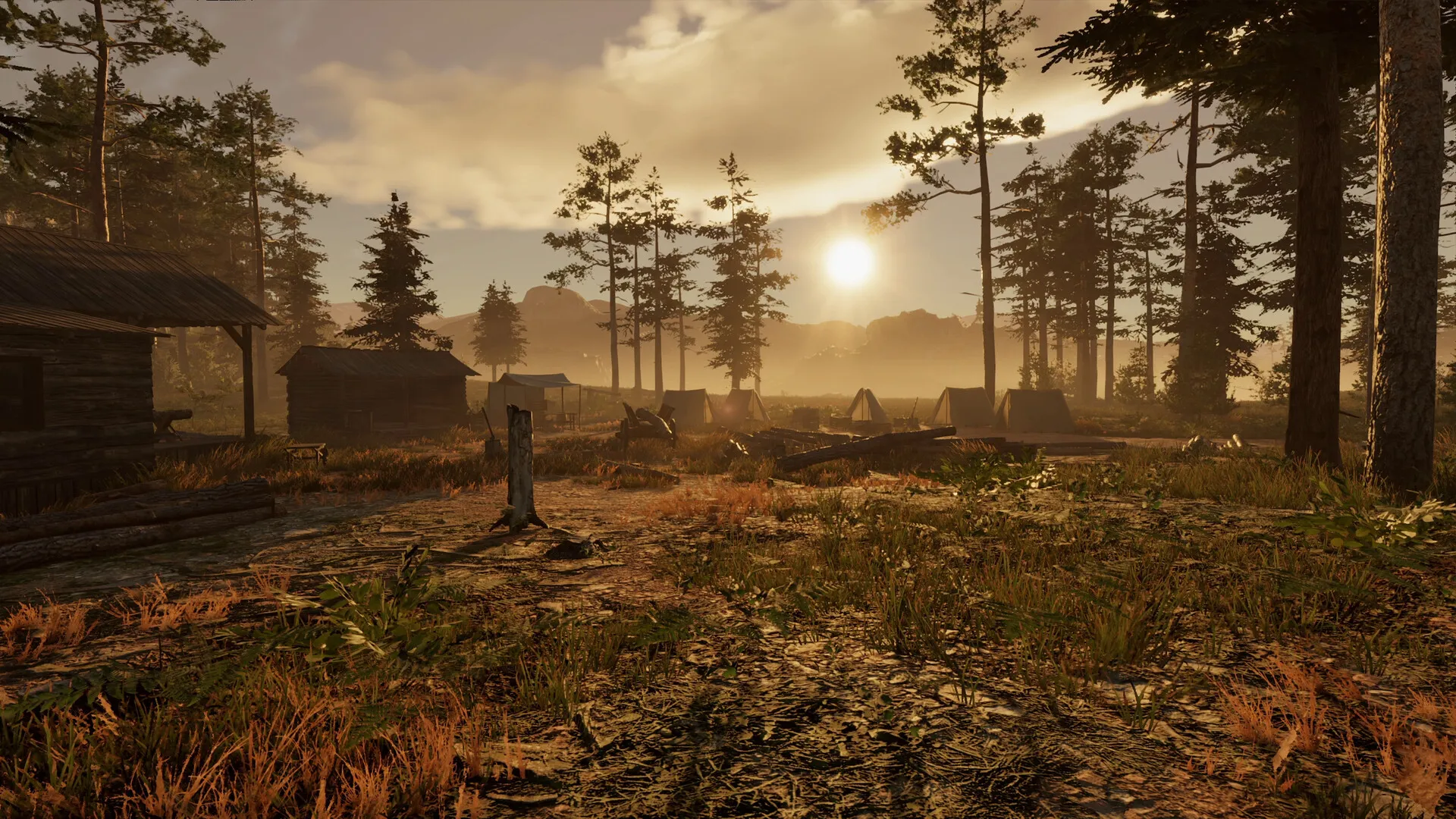 狂野西部时代/Wild West Dynasty-豌豆轻创