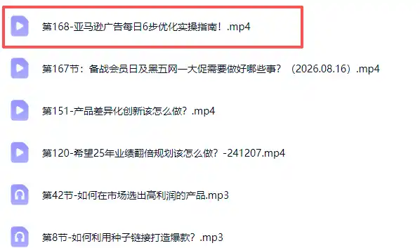 亚马逊跨境实战课-更新0911：全品类选品逻辑｜SP/SB/SD广告精细化｜新品打爆旺季爆单全套运营教程-豌豆轻创