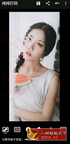 纯纯打码v4.10.2高级版-豌豆轻创