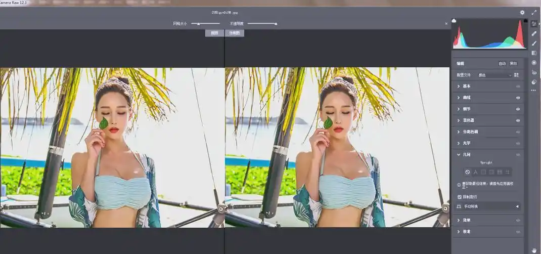 RAW处理Adobe Camera Raw v18.7.0中文版-豌豆轻创