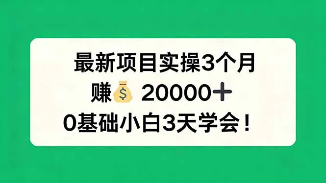 最新项目实操3个月，赚钱20000+，0基础小白3天学会！-豌豆轻创
