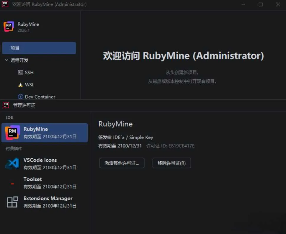 RubyMine v2026.1.2 高级版-豌豆轻创