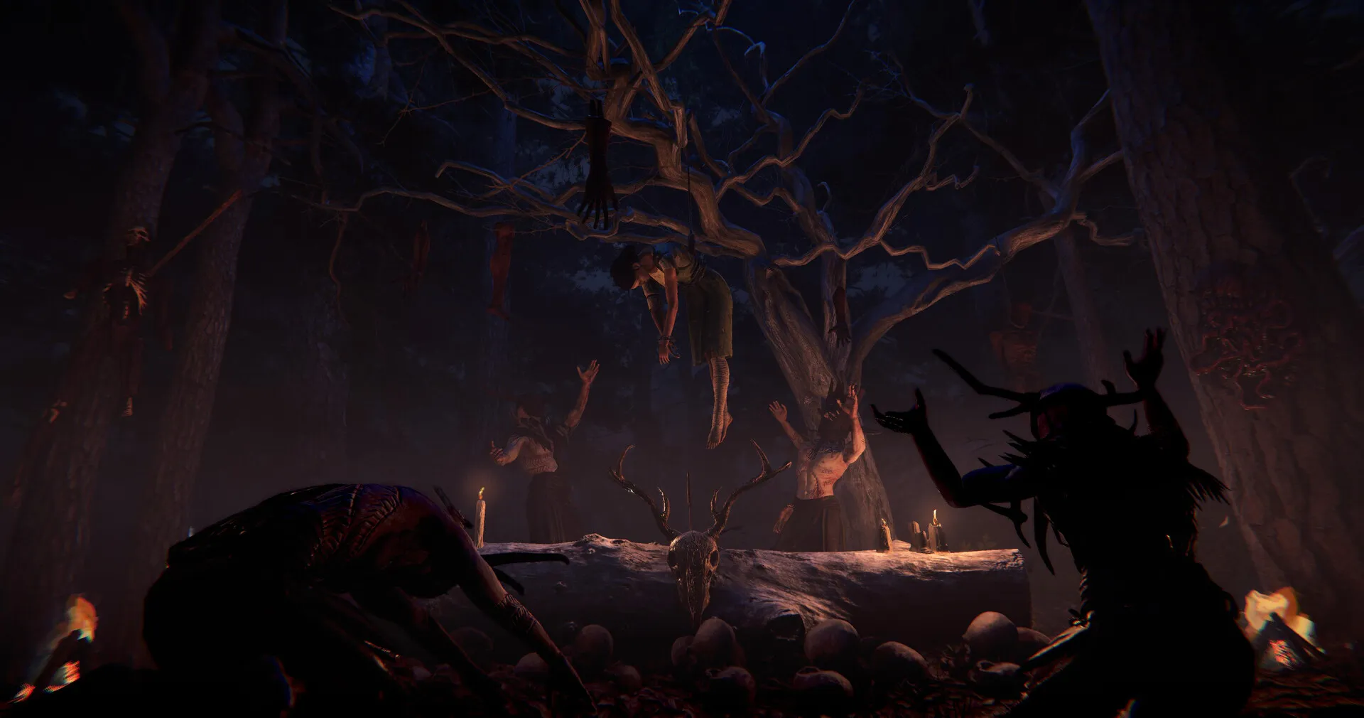 覆巢之地/Nested Lands