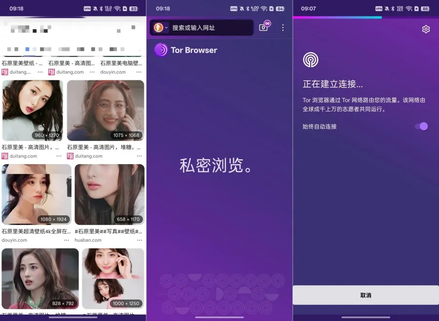 Tor浏览器15.0.14真正的私密浏览器隐藏真实IP-豌豆轻创