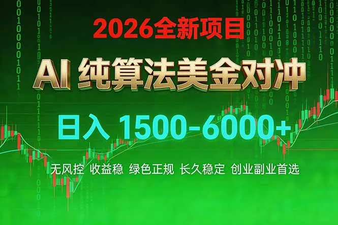 2026 全新美金对冲项目，不套平台赠金，不封号，纯算法对冲，日入 1500-6000+-轻创
