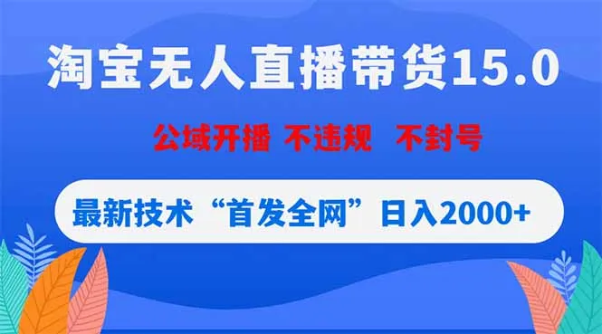淘宝无人直播带货15.0，不封号，不违规，公域玩法，首发全网日入2000+-豌豆轻创