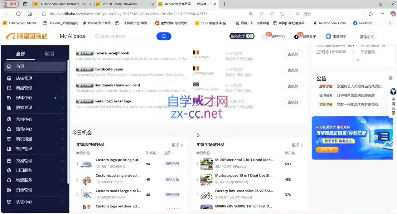 Alisa老师·外贸翻盘实战课程(更新部分)-豌豆轻创