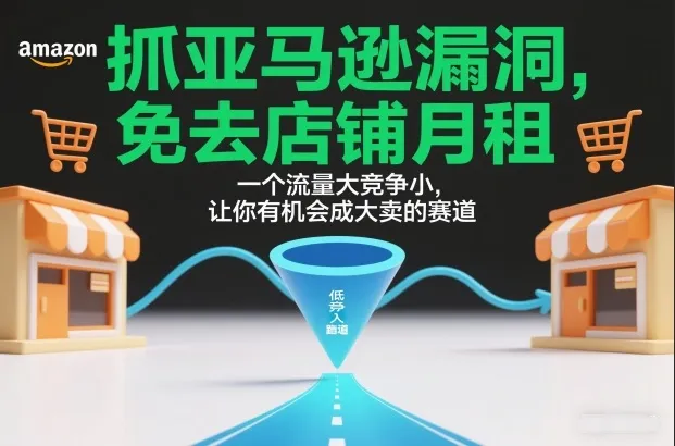 抓亚马逊漏洞，免去店铺月租，一个流量大竞争小，让你有机会成大卖的赛道-轻创