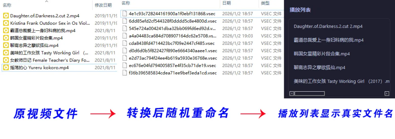 老司机隐私播放器SecureVault Player V0.8.9-轻创