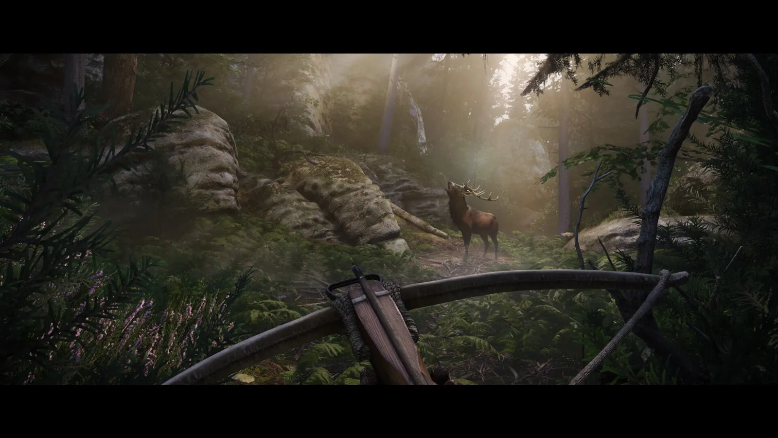 《天国：拯救2》v1.3中文版-轻创