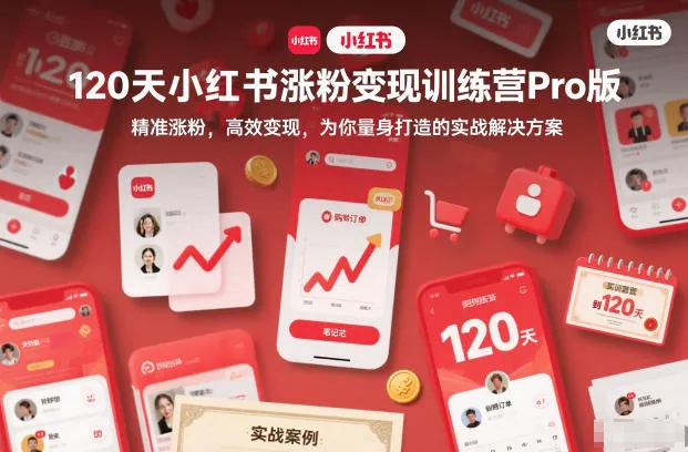 120天小红书涨粉变现训练营Pro版，精准涨粉，高效变现，为你量身打造的实战解决方案-轻创