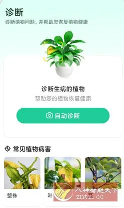 Plant Parent 植物养护v1.105高级版 Plant Parent 植物养护v1.105高级版